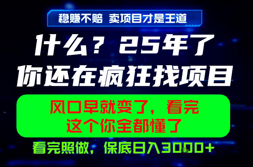 26年,请不要疯狂的找项目做了!卖项目才是真的稳賺不赔,看完照做,保底日入1k+【揭秘】-百盟网