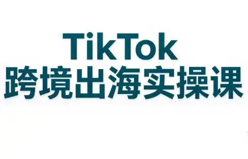 彭老师·TikTok跨境出海实操课