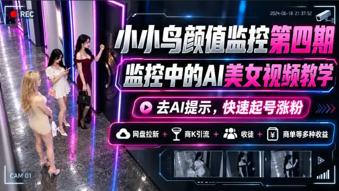 小小鸟颜值监控第四期,监控中的AI美女视频教学,去AI提示,快速起号涨粉,网盘拉新+商K引流+收徒+商单等多种收益-百盟网