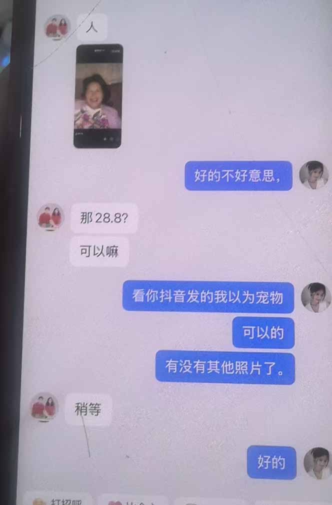 思念亲人AI视频教程：亲人复活+人物替换技术，条条几万赞爆款作品制作-百盟网