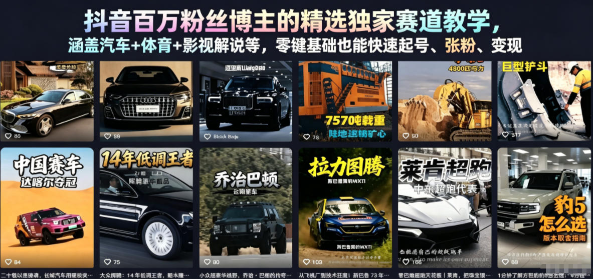 抖音百万粉丝博主的精选独家赛道教学，涵盖汽车+体育+影视解说等，零基础也能快速起号、涨粉、变现(更新0701)-百盟网