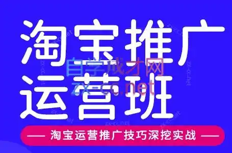 美迪电商·淘宝高级运营班+推广运营班(更新10月) 美迪电商·淘宝高级运营班+推广运营班(更新10月)