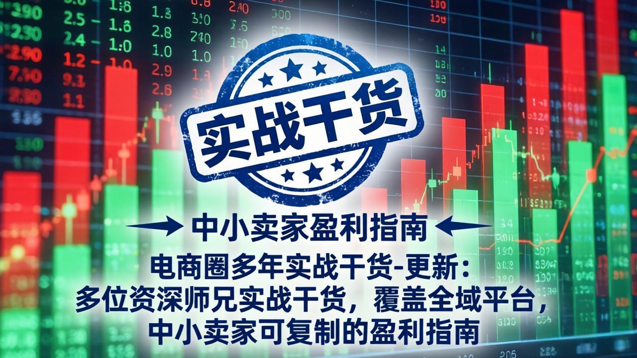 电商圈多年实战干货-更新4月27：多位资深师兄实战干货/覆盖全域平台，中小卖家可复制的盈利指南-百盟网